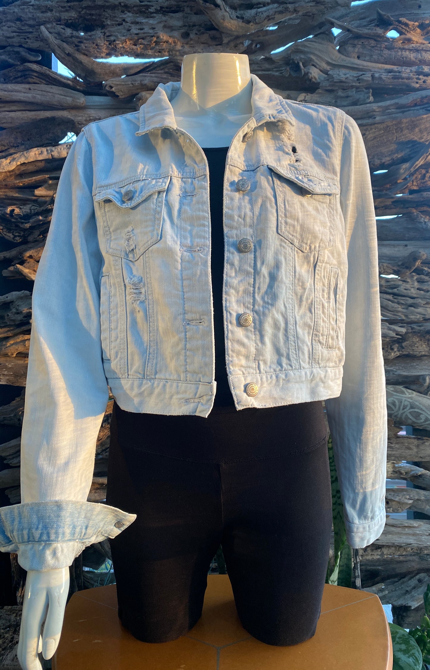 Denim Jacket Light Cropped